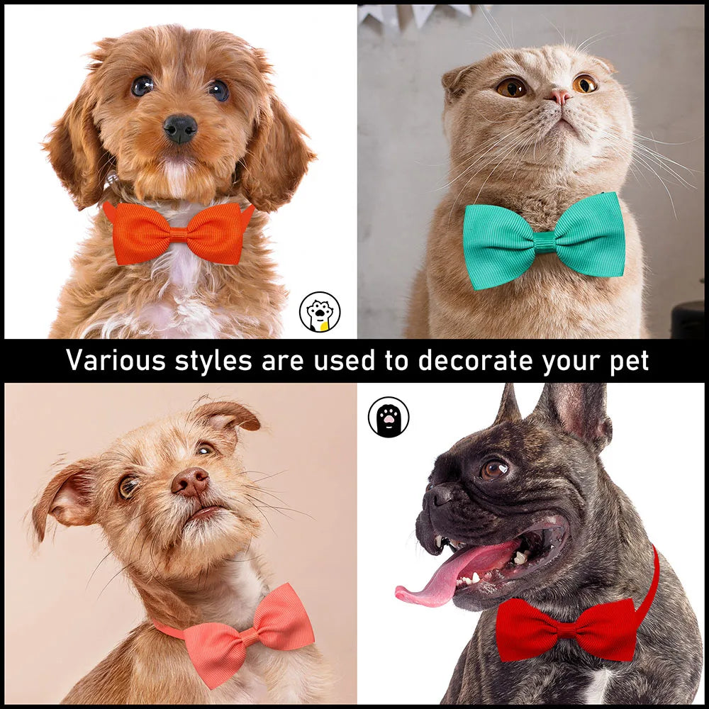 10PCS Solid Bowtie Dog Bulk Small Dog Cat Bowties Neckties Puppy Bows For Dogs Pets Grooming Accessories