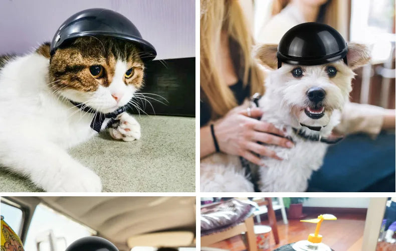 Pet Dog Helmets With Sunglasses Cat Safety Doggie Hat For Traveling Adjustable Head Protection Plastic Supplies Fashion Funny