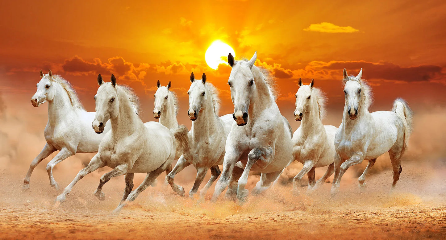 7 White Running Horses Canvas Painting  Animal Posters and Prints Wall Art Picture