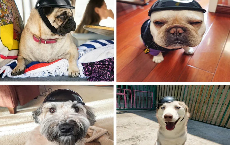 Pet Dog Helmets With Sunglasses Cat Safety Doggie Hat For Traveling Adjustable Head Protection Plastic Supplies Fashion Funny