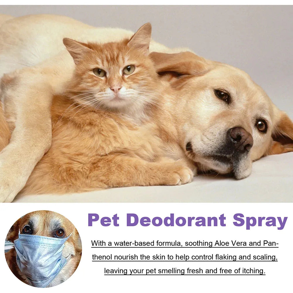 Lavender Oil Dog Deodorizer Spray Long Lasting Puppies Cats Dogs for Smelly Deodorizing Perfume Spray Remove Odor Freshing Air